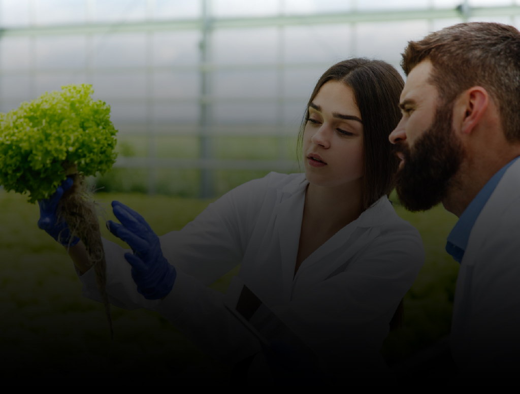 Faculty Of Agricultural Sciences